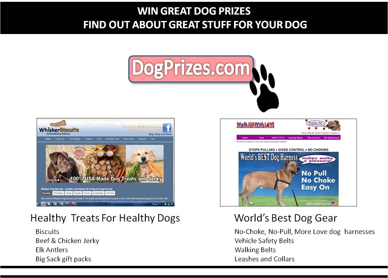 Join the fun - win prizes at dogprizes.com